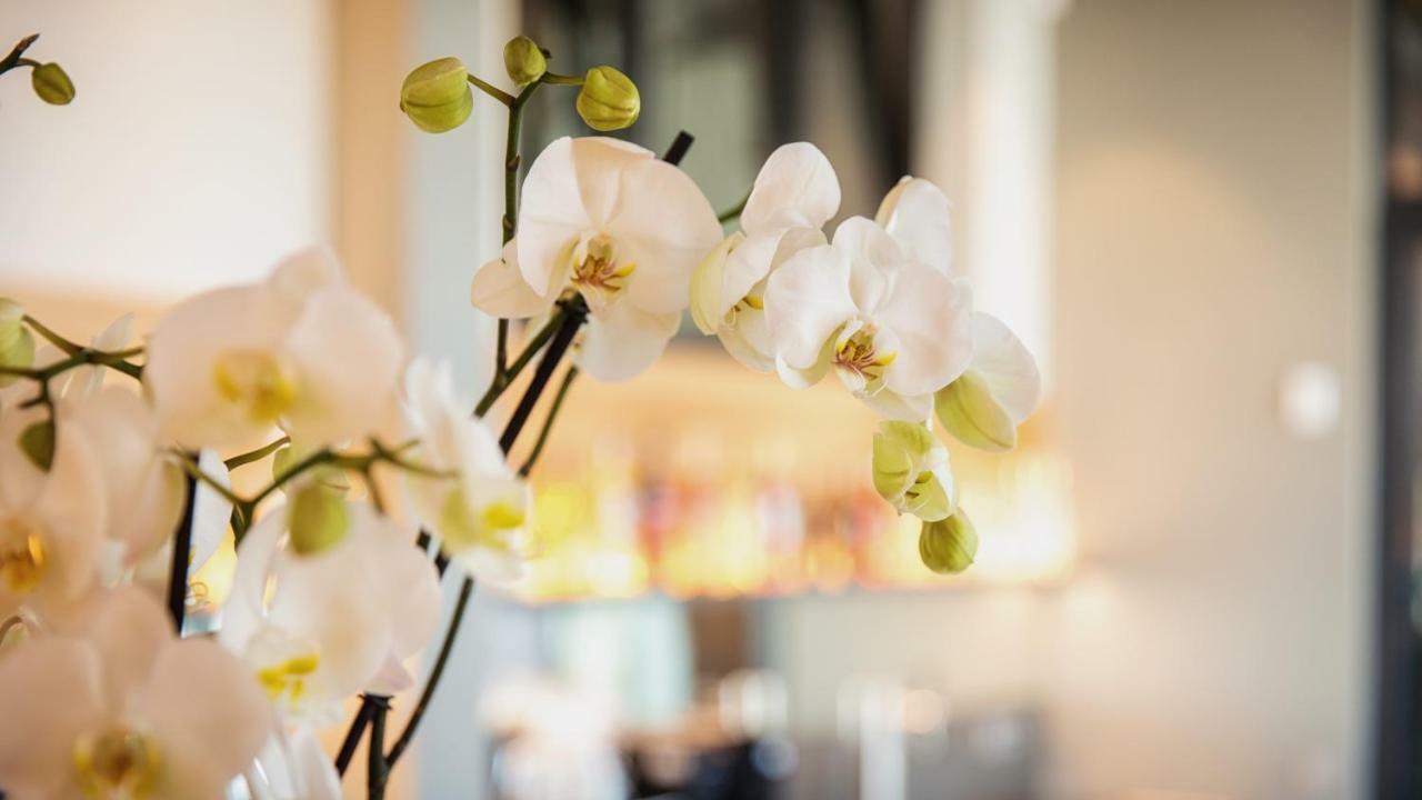 Heuboden Hotel Heu.Loft Freiburg Umkirch Dış mekan fotoğraf